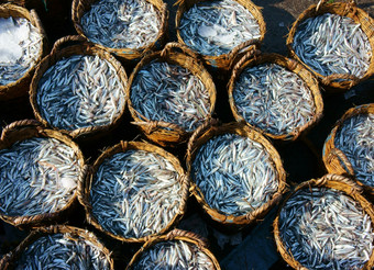 集团鳀鱼篮子钓鱼户外农民市场鳀鱼材料使鱼酱汁非常美味的越南食物许多生产渔业封面冰保持新鲜的