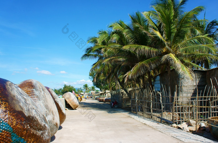 美丽的场景钓鱼村一天下蓝色的天空新鲜的空气集团竹子篮子船绿色椰子树栅栏街不错的景观越南农村
