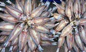 干鱼海鲜产品咸越南食物一般发现沿海亚洲显示越南开放空气市场