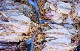 干碎鱿鱼干海鲜产品使从鱿鱼墨鱼一般发现沿海亚洲显示越南开放空气市场受欢迎的街零食