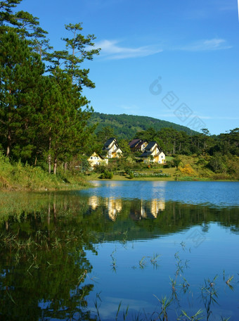 美丽的景观大叻村集团别墅反映湖生态假期度假胜地在绿色松森林新鲜的空气纯环境浪漫的场景为度蜜月年越南