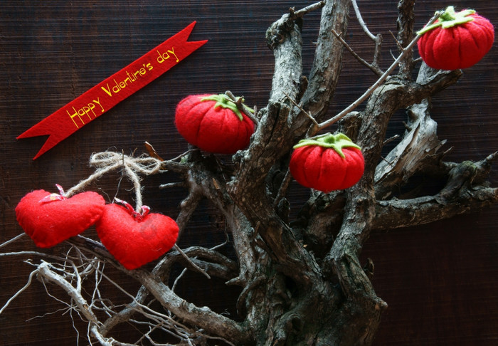 快乐情人节一天假期为夫妇令人惊异的背景与红色的心手工制作的水果消息关于爱干分支树印象情感而且艺术概念