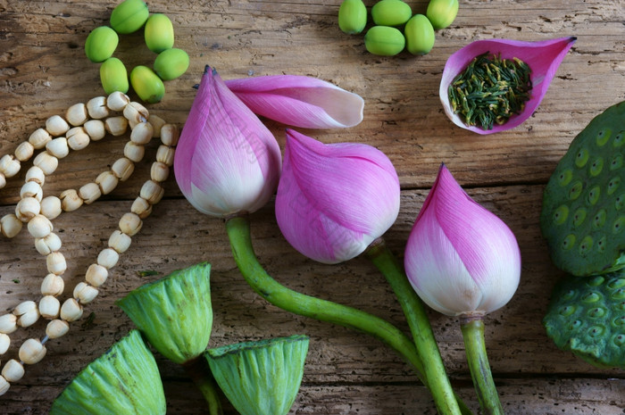集合莲花粉红色的莲花花绿色种子白色莲花种子新鲜的而且干herbal茶这植物区系与令人惊异的摘要概念充满活力的颜色这食物使健康的好睡眠