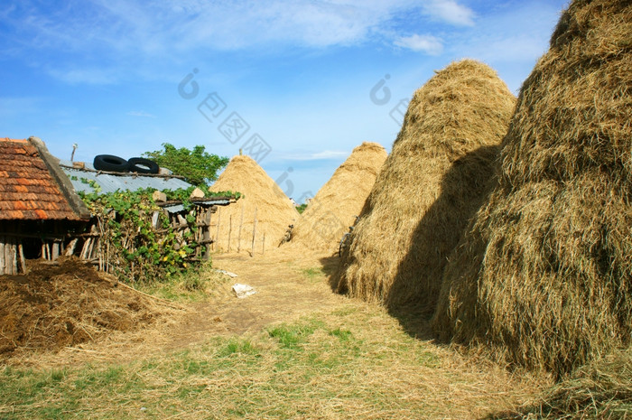 越南村堆栈稻草食物储备为牛后作物越南农业国家美丽的景观牛棚而且山使平静农村关赞扬”越南南