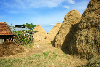越南村堆栈稻草食物储备为牛后作物越南农业国家美丽的景观<strong>牛棚</strong>而且山使平静农村关赞扬”越南南