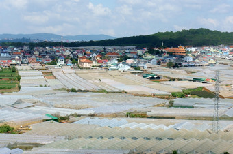 发展花卉栽培行业<strong>大叻</strong>林盾越南与许多温室和高权力消费可以使增加绿色房子效果和气候改变