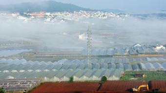 发展花卉栽培行业<strong>大叻</strong>林盾越南与许多温室和高权力消费可以使增加绿色房子效果和气候改变