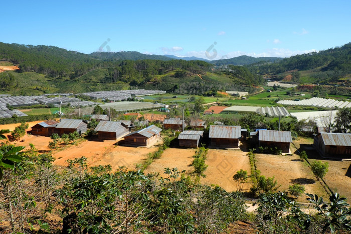 年越南NAM-12月令人惊异的场景大叻农村集团木房子在农业场住房为解决可怜的越南景观贫困住宅越南12月