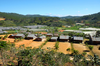 年越南NAM-12月令人惊异的场景大叻农村集团木房子在农业场住房为解决可怜的越南景观贫困住宅越南12月