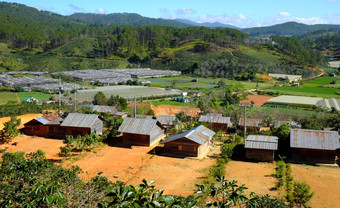 年越南NAM-12月令人惊异的场景大叻农村集团木房子在农业场住房为解决可怜的越南景观<strong>贫困</strong>住宅越南12月