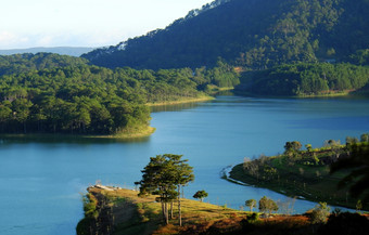 Tuyen林湖<strong>大叻</strong>越南美丽的景观为生态旅行越南南令人惊异的湖在松森林使美妙的场景船水年农村著名的的地方为假期