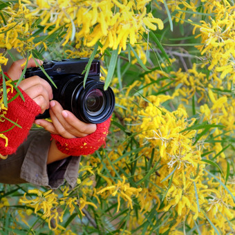 女人手与相机取照片黄色的花背景女摄影师与激情摄影