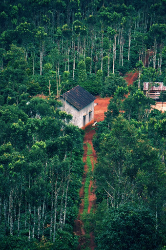 <strong>房子</strong>绿色花园达克拉克农村越南南美丽的风景优美的与<strong>砖房子</strong>红色的土壤路径通过种植园使平静和和平视图越南