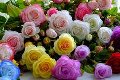 色彩斑斓的玫瑰花背景集团多色玫瑰使从粘土手工制作的产品从聪明的手点缀从粘土艺术令人惊异的
