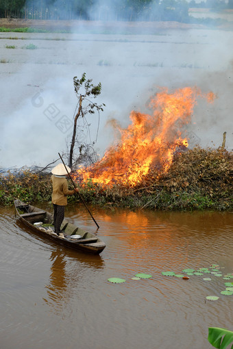 亚洲女人行船燃烧干树干叶子清洁场淹没了季节景观湄公河δ越南后作物燃烧火焰铜锣烟飞环境