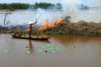 亚洲女人行船燃烧干树干叶子清洁场淹没了季节景观湄公河δ越南后作物燃烧火焰铜锣烟飞环境