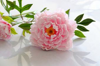 令人惊异的牡丹花从粘土白色背景人工花从粘土艺术美妙的艺术作品与粉红色的花瓣绿色叶美丽的