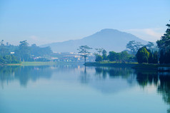 美丽的风景年城市早....与湖雾松树反映水风景青色这的地方浪漫的目的地为越南旅行