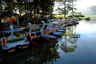 集团鸭船车辆运输和放松水为旅游反映表面水比Tho湖一个目的地为旅行年城市越南南湖在松森林