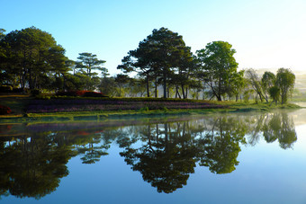 风景比Tho湖年城市越南南早....松树森林反映水使浪漫的和新鲜的视图为生态旅游夏天