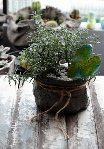 迷迭香能与心表格装修室内空间草本植物与香气和也使用成分烹饪白色木背景