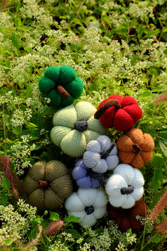 集团色彩斑斓的南瓜花园草土地与小花白色手工制作的产品为休闲活动针织从纱