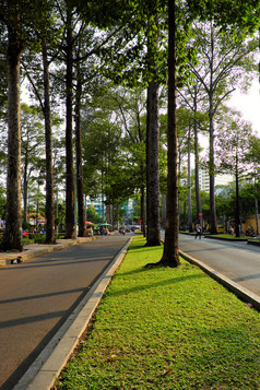 谁警察局城市越南NAM-3月令人惊异的绿色树西贡内心的城市热一天夏天美丽的直和高行树沿着街使新鲜的空气和不错的城市景观