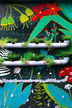 可爱的的想法使漂亮的生活环境花锅从水管道墙与色彩斑斓的绘画背景绿色墙街使漂亮的道路谁警察局城市越南