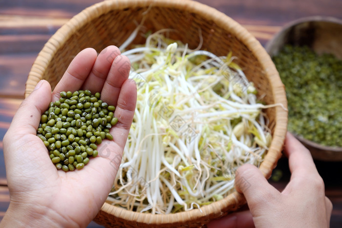 女人手与自制的豆豆芽为食物安全发芽绿色豆子使营养蔬菜厨房关闭发芽与篮子木背景