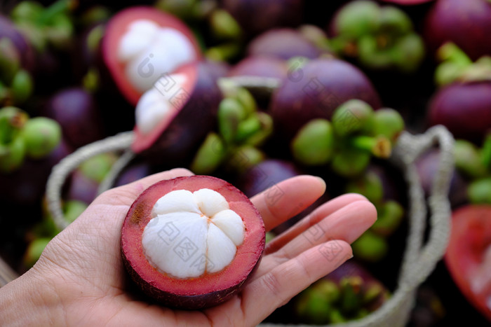 关闭新鲜的山竹果减少一半女人手模糊山竹果山背景种类越南热带水果那多汁的美味的丰富的维生素与紫罗兰色的硬皮
