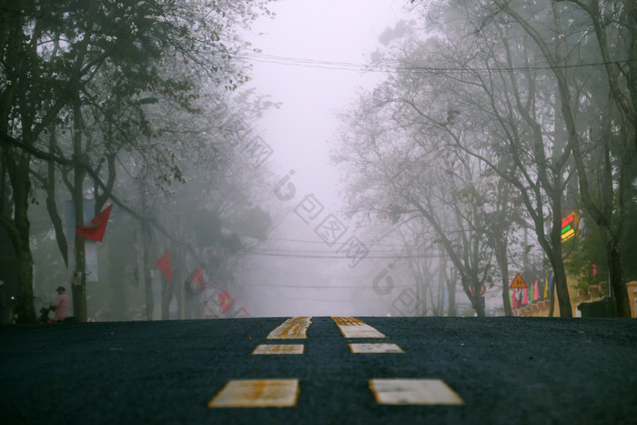 令人惊异的景观年城市越南南早期早....行白色花树雾多雾的街与人行横道冷天气春天美丽的视图为旅行越南南