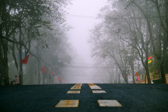 令人惊异的景观年城市越南南早期早....行白色花树雾多雾的街与人行横道冷天气春天美丽的视图为旅行越南南