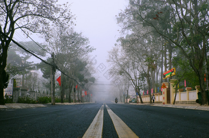 令人惊异的景观年城市越南南早期早....行白色花树雾多雾的街与人行横道冷天气春天美丽的视图为旅行越南南