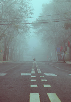 令人惊异的景观年城市越南南早期早....行白色花树雾多雾的街与人行横道冷天气春天美丽的视图为旅行越南南