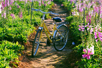 <strong>美丽</strong>的景观为年<strong>旅</strong>行春天黄色的自行车色彩斑斓的贝尔花花园一天植物区系布鲁姆充满活力的使美妙的的地方为<strong>之旅</strong>
