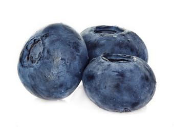 蓝莓孤立的白色背景