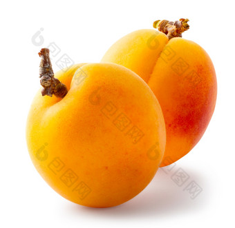 两个成熟的杏子孤立的白色背景两个成熟的杏子
