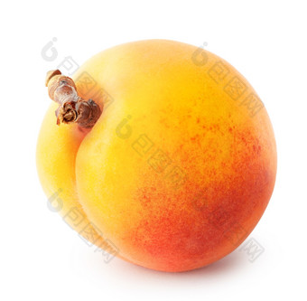 黄色的多汁的杏与棕色（的）处理隔离白色黄色的多汁的杏与棕色（的）处理