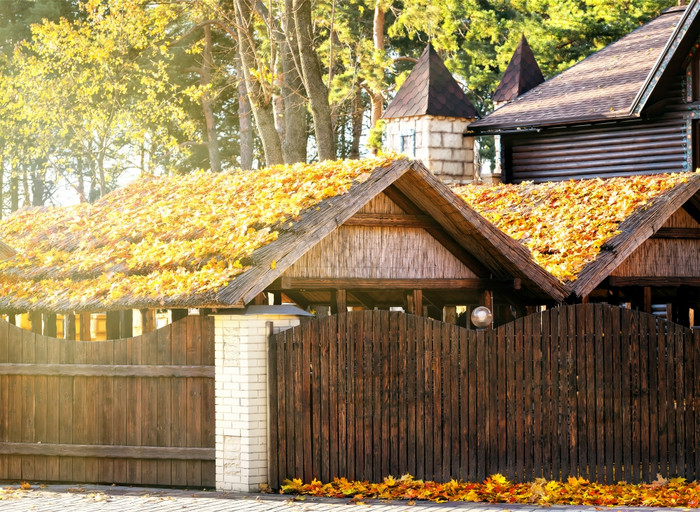 屋顶木建筑覆盖与秋天叶子太阳屋顶木建筑覆图片