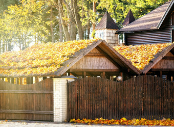 屋顶木建筑覆盖与秋天叶子太阳屋顶木建筑覆盖与秋天叶子