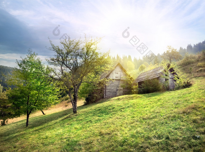 被遗弃的木小屋绿色草地下的太阳被遗弃的木小屋绿色草地