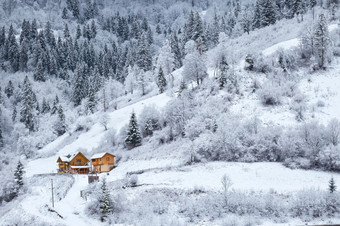 雪森林与房子山坡冬天雪森林与房子山坡