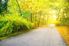 沥青路的公园与色彩斑斓的叶子的下午沥青路的公园与色彩斑斓的叶子