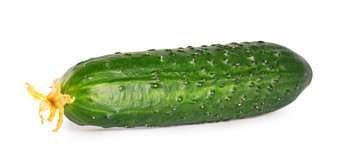 绿色新鲜的多汁的黄瓜孤立的白色背景绿色新鲜的多汁的黄瓜