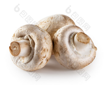 三个生蘑菇香榭丽舍孤立的白色背景的概念自然食物三个生蘑菇香榭丽舍孤立的白色背景