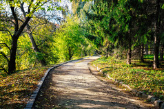 沥青路径绿色公园夏天景观的概念运动和自由沥青路径绿色公园