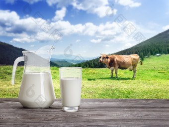 新鲜的牛奶<strong>玻璃</strong>水瓶和<strong>壶</strong>的背景景观与牛夏天景观的概念自然健康的食物新鲜的牛奶<strong>玻璃</strong>水瓶和<strong>壶</strong>的背景景观