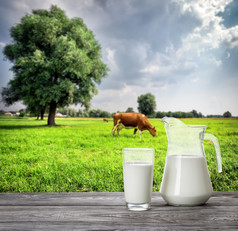 玻璃和壶牛奶对背景牛和牧场夏天景观的概念自然健康的食物玻璃和壶牛奶对背景牛和牧场