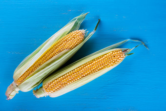 成熟的黄色的玉米蓝色的表格视图从以上的概念自然健康的食物成熟的黄色的玉米蓝色的表格