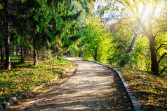 沥青路径绿色公园夏天景观的概念运动和自由沥青路径绿色公园